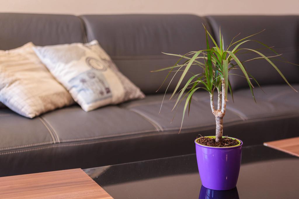 Appartement Judita Supetar